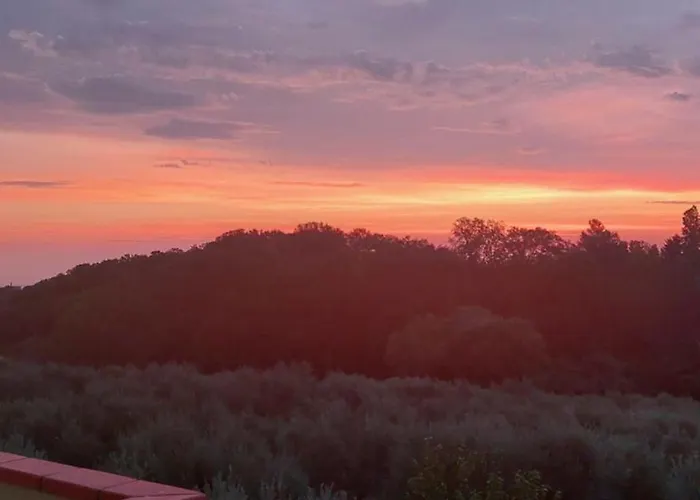 Conny's House Apartamento *