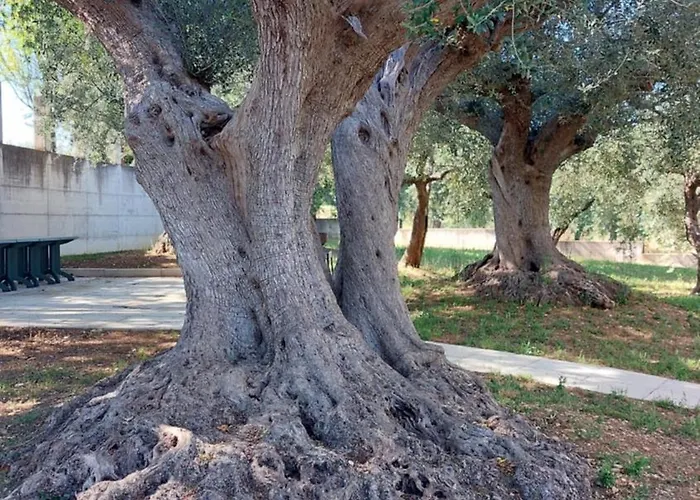 Conny's House * Fossacesia