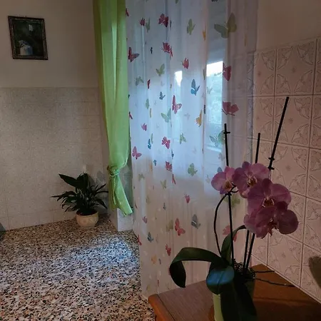 Conny's House