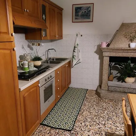Conny's House * Фоссачезия