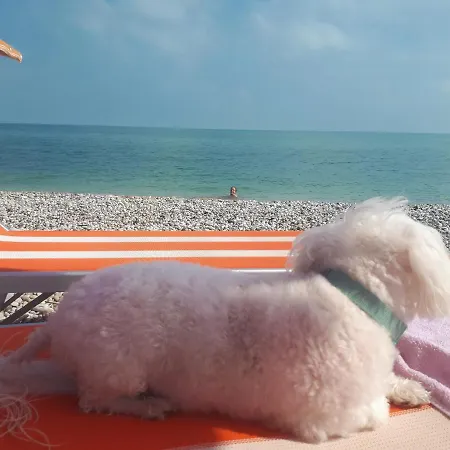 Apartment Conny's House Fossacesia