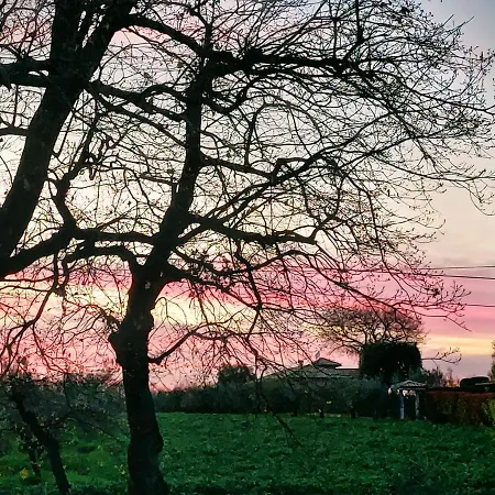 Apartment Conny's House *