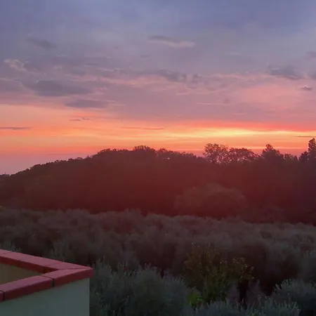 Conny's House Apartment *