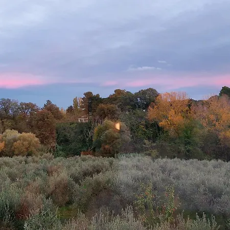 Conny's House Appartamento