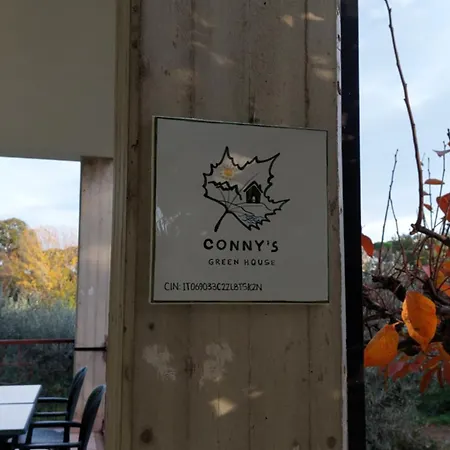 Апартаменты Conny's House
