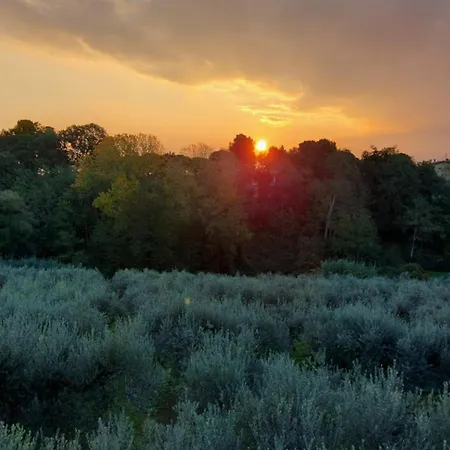 Conny's House アパート *