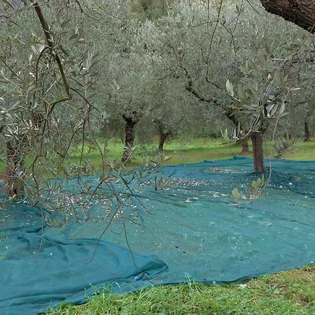 Apartment Conny's House Fossacesia