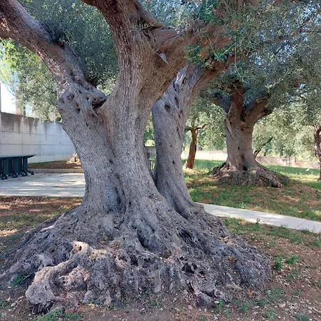 Conny's House * Fossacesia