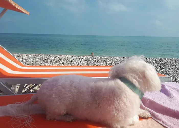 Διαμέρισμα Conny's House Fossacesia