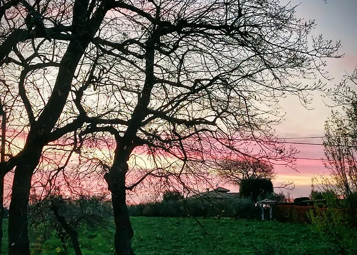 Διαμέρισμα Conny's House *