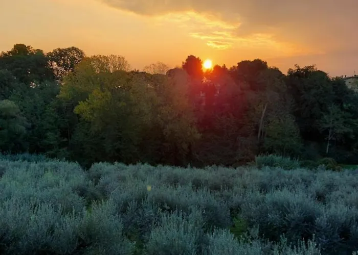 Conny's House Διαμέρισμα *